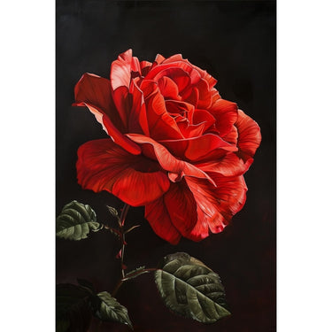 Red Rose Flower Canvas